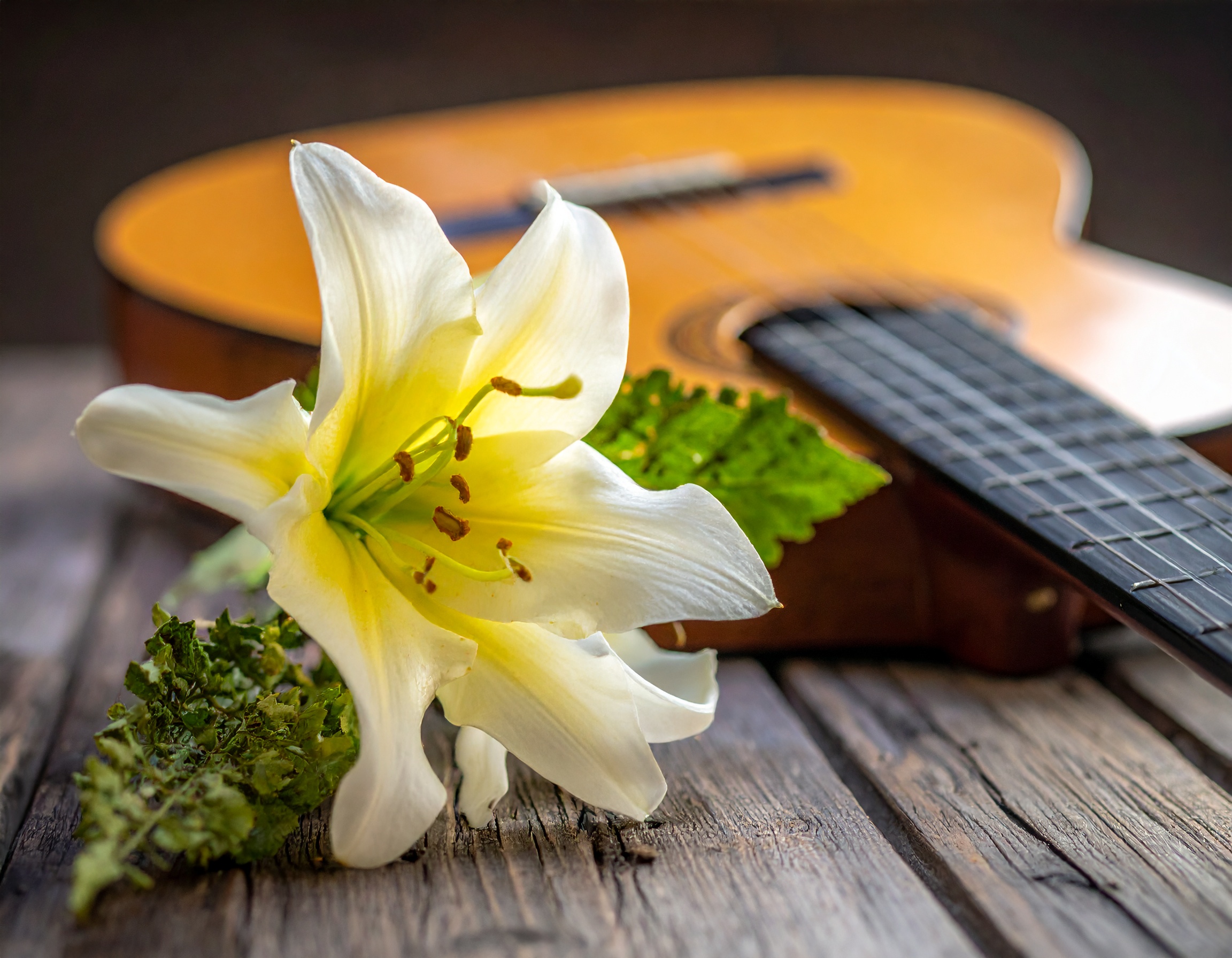 メモリアルムービーのオルゴール曲：歌詞なしで心安らぐ選曲術